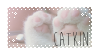 Catkin Catkin